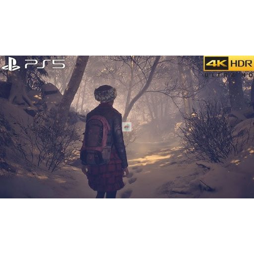 Playstation 5 Until Dawn