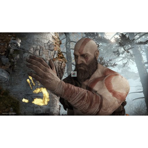Playstation 4 God of War használt