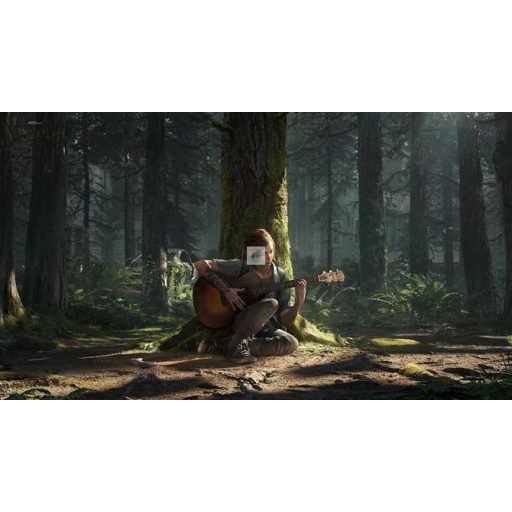 Playstation 4 The Last of Us 2 használt