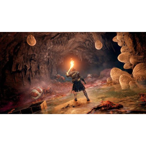 Playstation 5 Elden Ring 