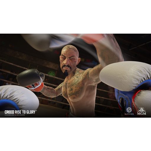 Playstation 4 Creed Rise to Glory