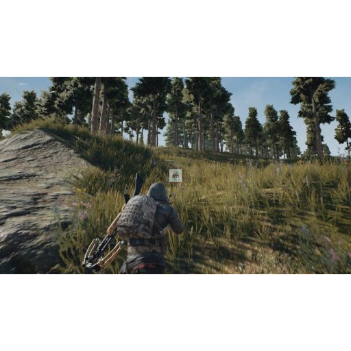 Playstation 4 Playerunknown's Battlegrounds (PUBG) használt