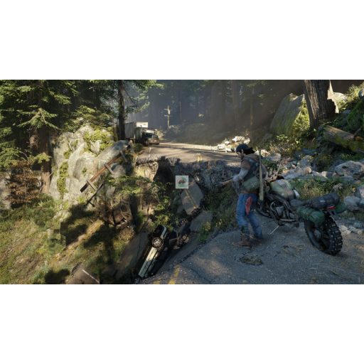Playstation 4 Days Gone használt