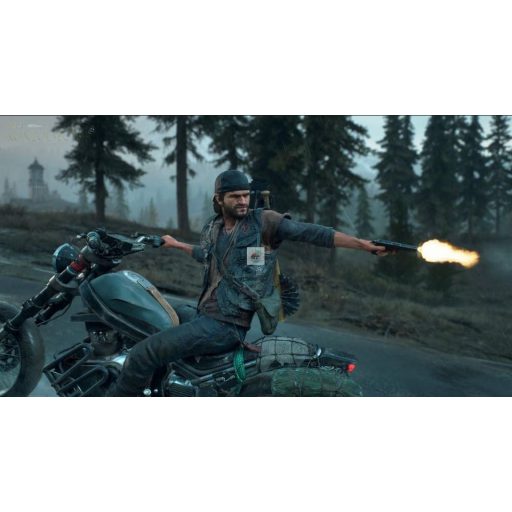 Playstation 4 Days Gone használt