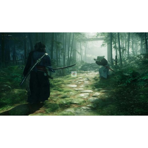 Playstation 5 Rise of the Ronin 