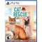 Playstation 5 Cat Rescue Story