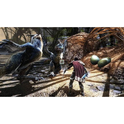 Playstation 4 Kingdoms of Amalur Reckoning